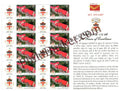 #MYS246 - The Lawrence School, Sanawar  - Customize My Stamp -  04 Oct 2022