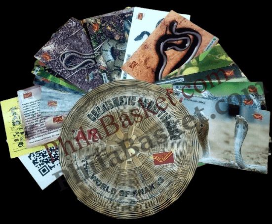 #PC104 - The World of Snake using AR technology with Beautiful box (Set of 24) - Picture Postcard - Chhattisgarh - India - 05 Jun 2024