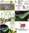 #PC113 - Malabar Tree - NYMPH- State Butterfly of Goa (Set of 4) with Augmented Reality - Picture Postcard - Goa - India - 03 Mar 2022