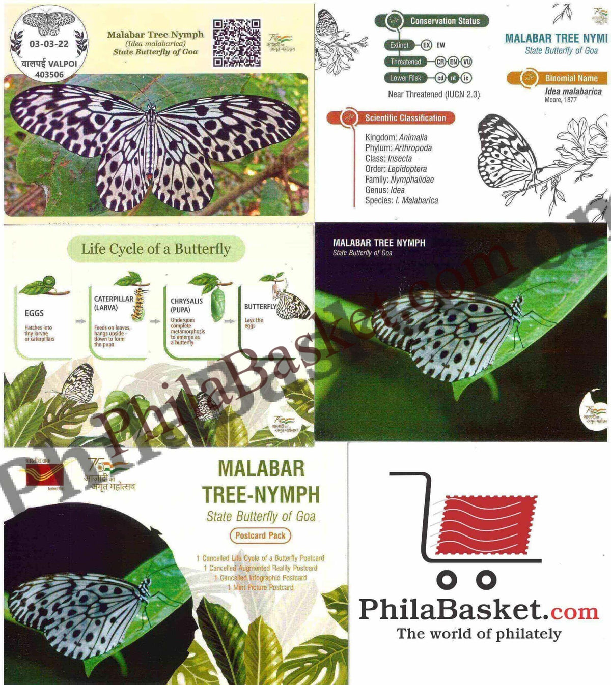 #PC113 - Malabar Tree - NYMPH- State Butterfly of Goa (Set of 4) with Augmented Reality - Picture Postcard - Goa - India - 03 Mar 2022