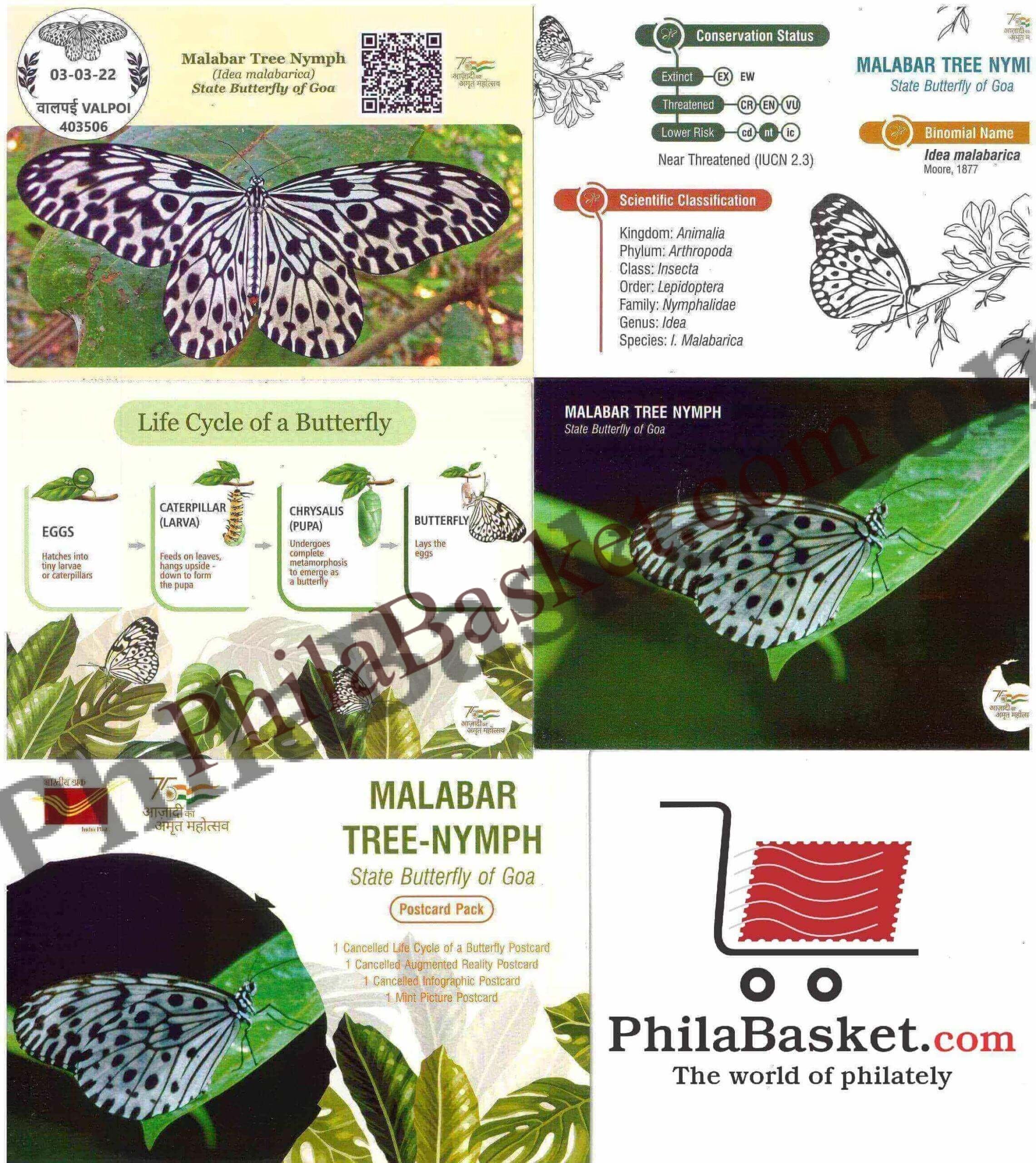 #PC113 - Malabar Tree - NYMPH- State Butterfly of Goa (Set of 4) with Augmented Reality - Picture Postcard - Goa - India - 03 Mar 2022