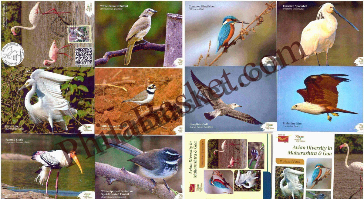 #PC115 - Avian Diversity in Maharashtra and Goa (Set of 10 Cards & 1 Booklet ) - Picture Postcard - Goa - India - 21 Mar 2022