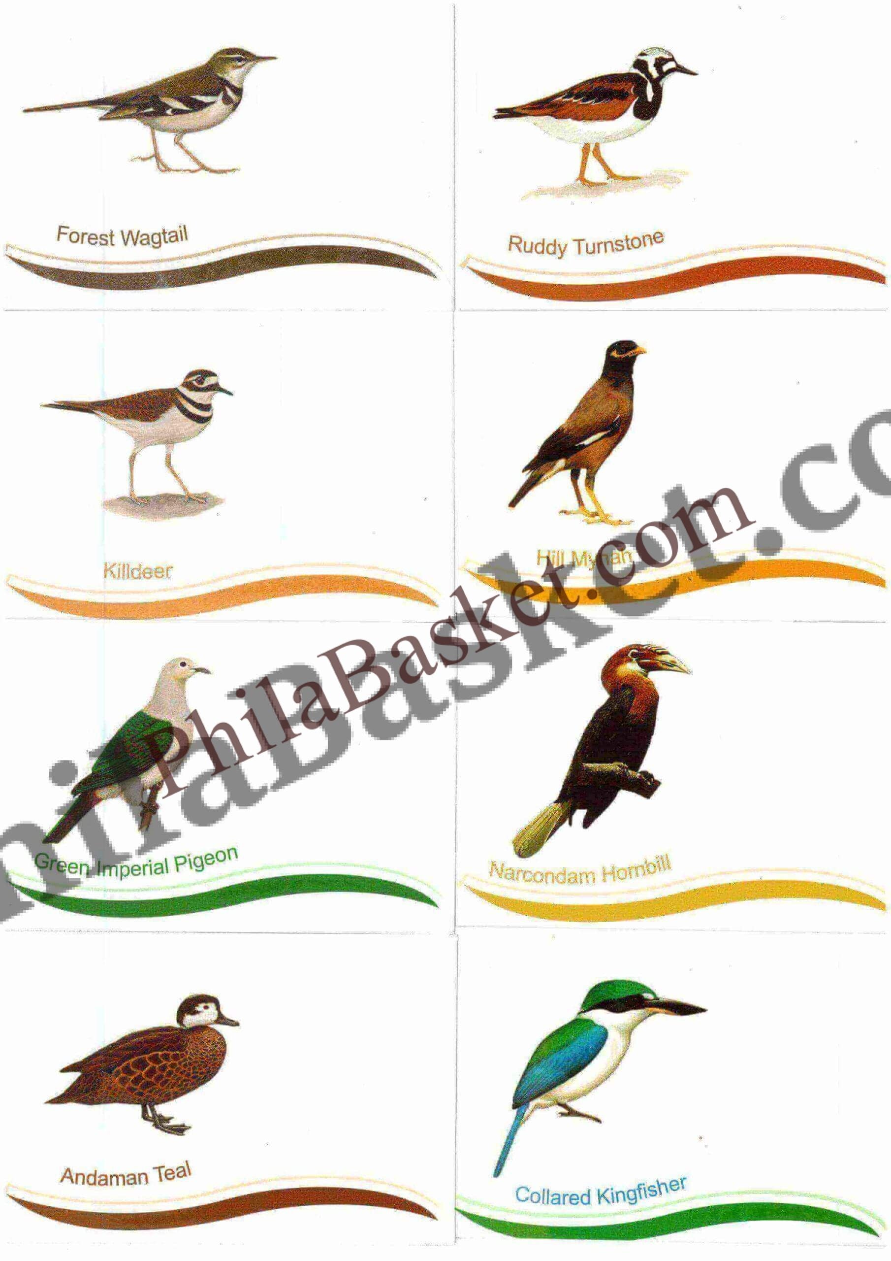 #PC121 - Astonishing Andaman birds through a series of postcards (Set of 8) - Picture Postcard - West Bengal - India - 04 Jun 2022