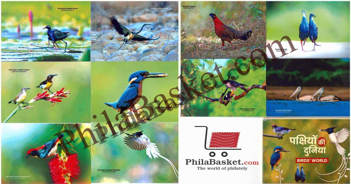#PC122 - World of Birds (Set of 10) - Picture Postcard - New Delhi - India - 04 Jun 2025