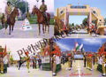 #PC13 - Picture Postcards on Attari Border - India - 2019