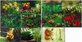 #PC141 - Ayurveda day (Set of 10) - Picture Postcard - New Delhi - India - 23 Sep 2025
