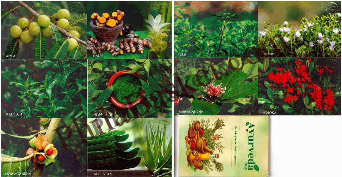 #PC141 - Ayurveda day (Set of 10) - Picture Postcard - New Delhi - India - 23 Sep 2025