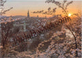 #PC58 - Union Postal Universelle Postcard, Beautiful Nature - Picture Postcard - UPU - 27 Nov 2023