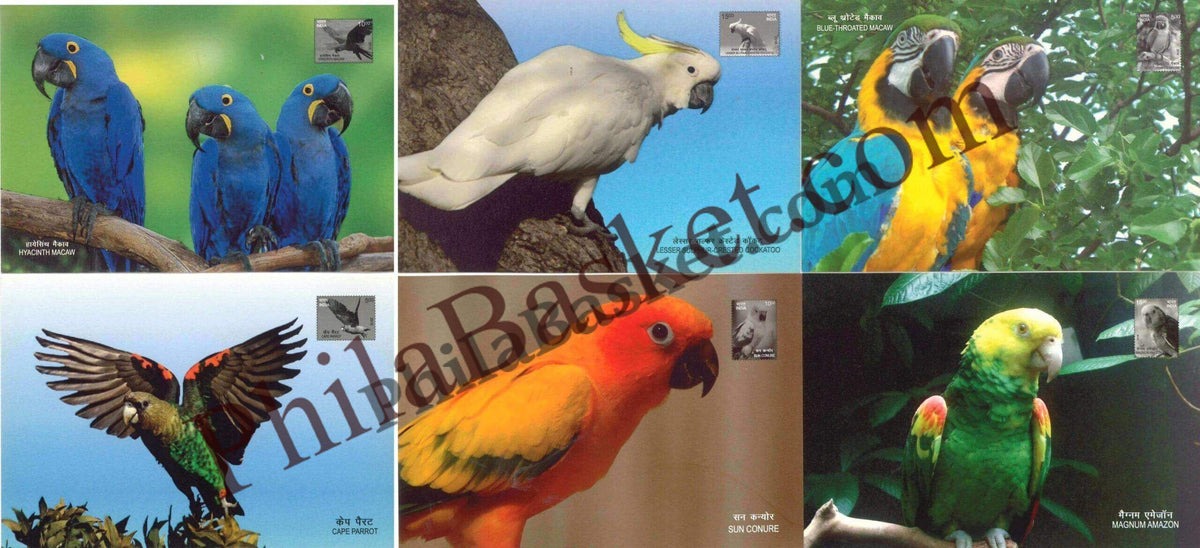 #PC77 - Exotic Birds (Set of 6) - Picture Postcard - Delhi - India - 05 Dec 2016