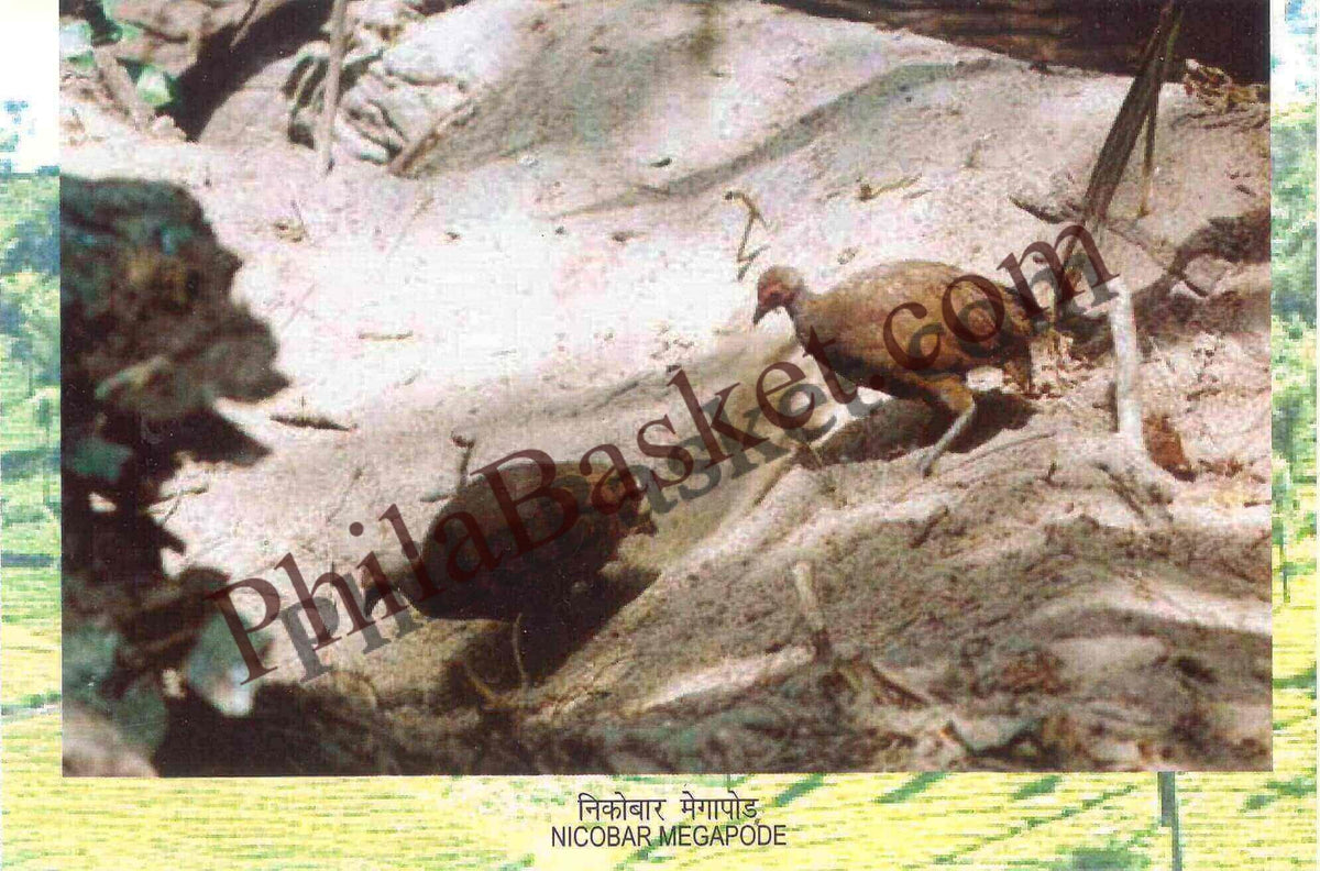 #PC84 - Nicobar Megapode - Picture Postcard - New Delhi - India - 16 Oct 2012