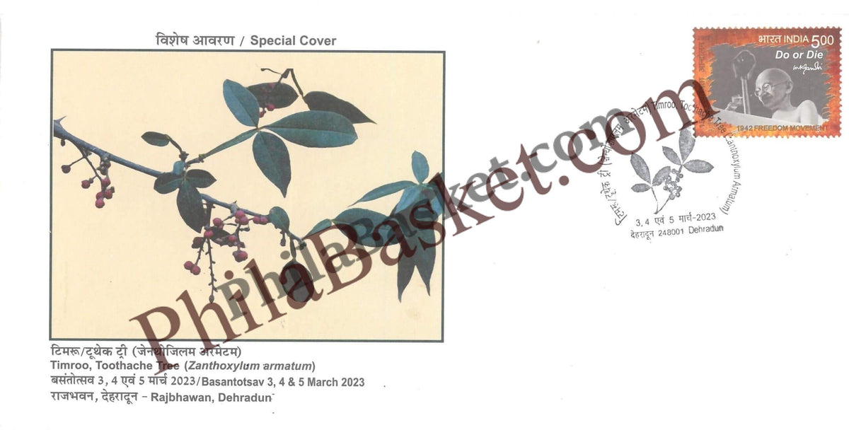 #SC162 - Timroo, Toothache Tree - By Uttarakhand Circle - 05 Mar 2023 - Special Cover - India