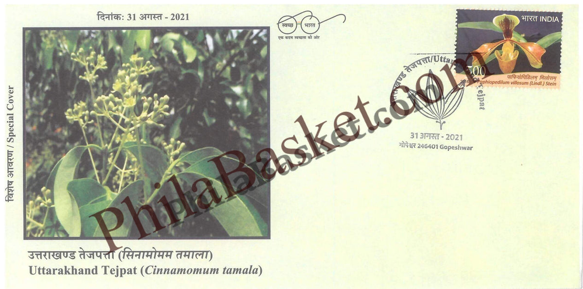 #SC363 - Uttarakhand Tejpat, GI Tag / ODOP by Bihar Circle - Special Cover - India - 31 Aug 2021