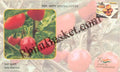 #SC421 - Dalle Khursani, GI Tag / ODOP by West Bengal Circle - Special Cover - India - 31 Dec 2021