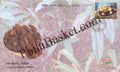 #SC423 - Large Cardamom, GI Tag / ODOP by West Bengal Circle - Special Cover - India - 28 Feb 2022