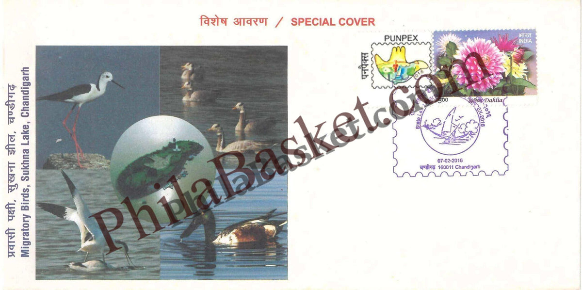 #SC516 - Migratory Birds, Sukhna Lake, Chandigarh, PunPex 2016 with My Stamp by Chandigarh circle - Special Cover - India - 07 Feb 2016