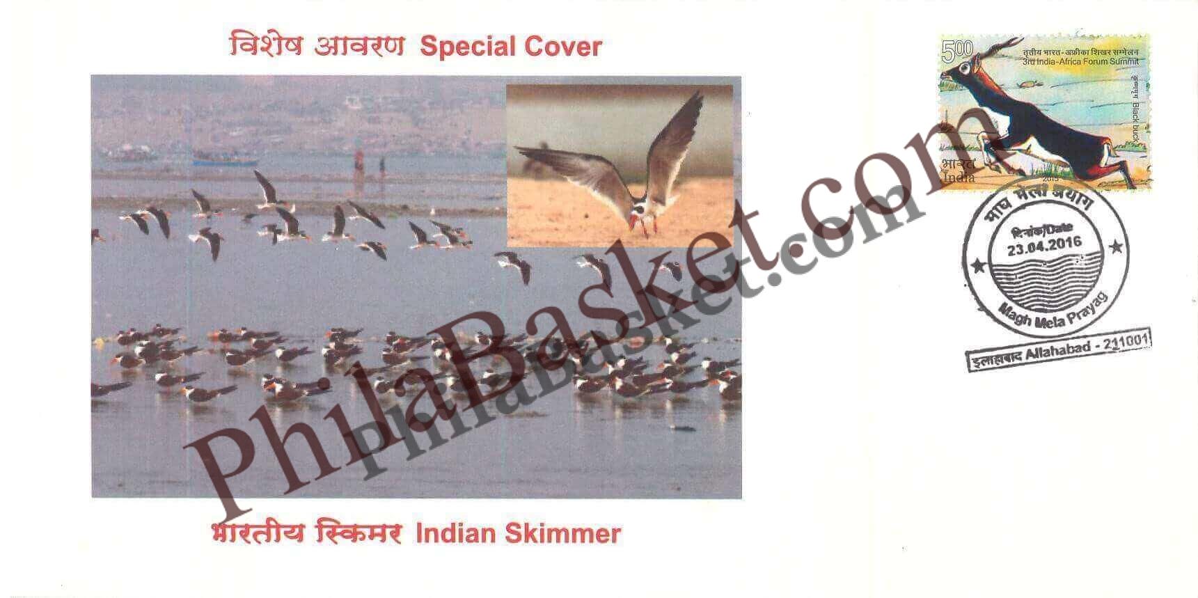 #SC530 - Indian Skimmer by Uttar Pradesh circle - Special Cover - India - 23 Apr 2016
