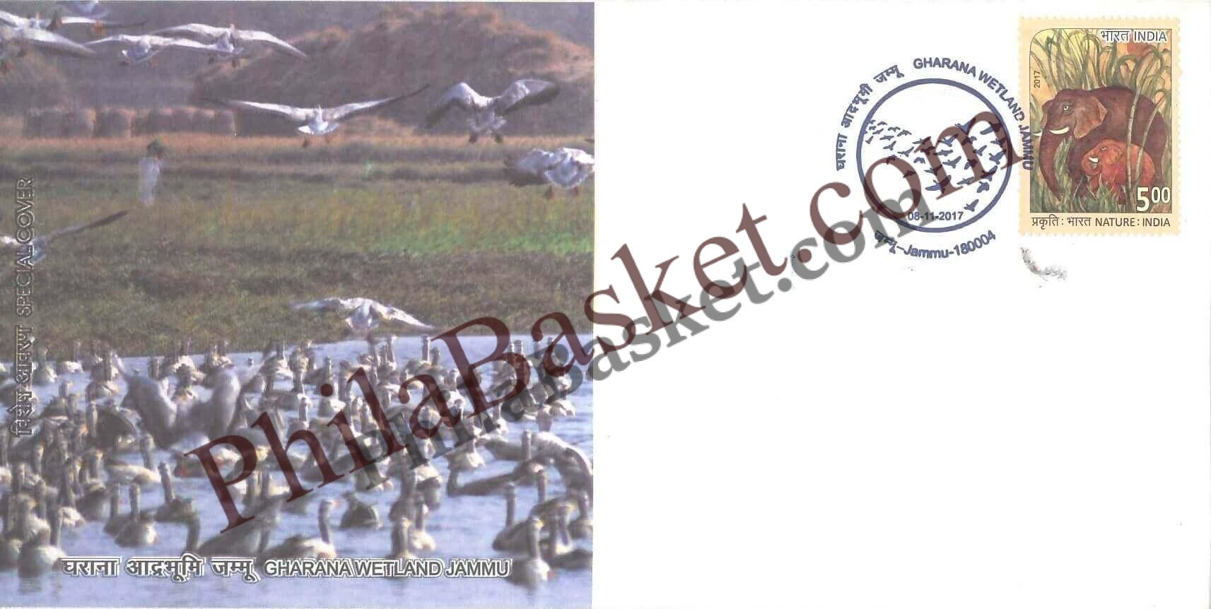 #SC554 - Gharana WetLand Jammu by Jammu and Kashmir circle - Special Cover - India - 08 Nov 2017