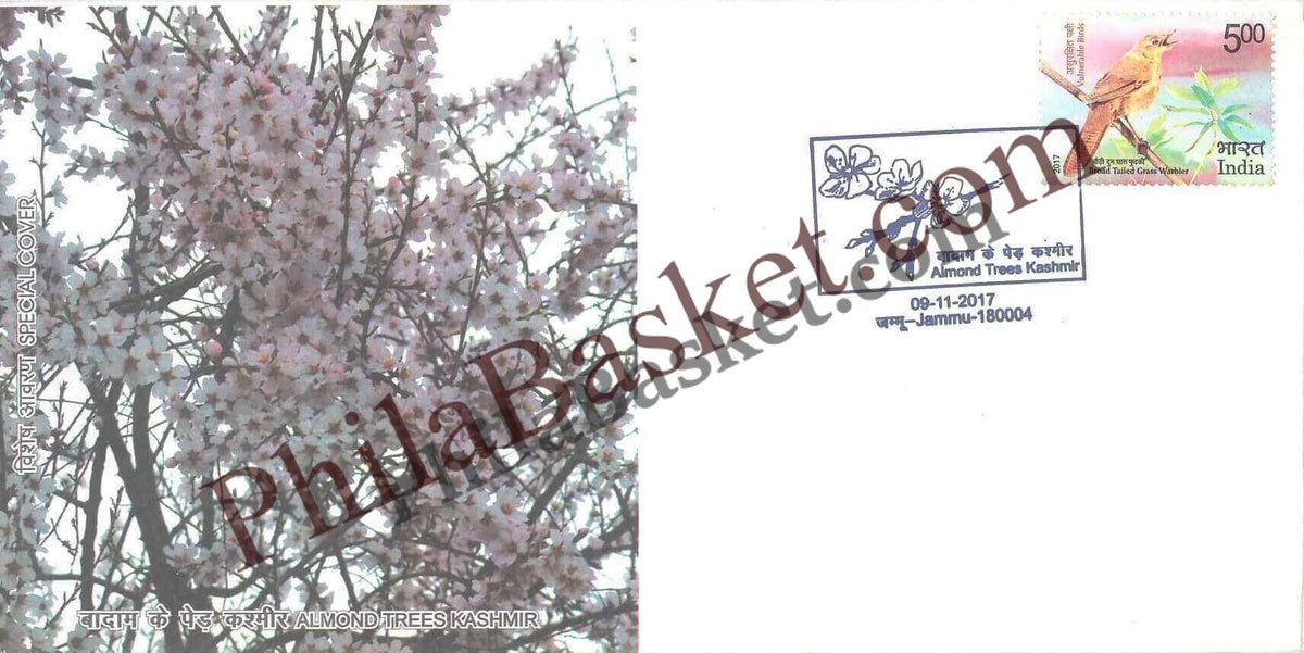 #SC555 - Almond Trees Kashmir by Jammu and Kashmir circle - Special Cover - India - 09 Nov 2017