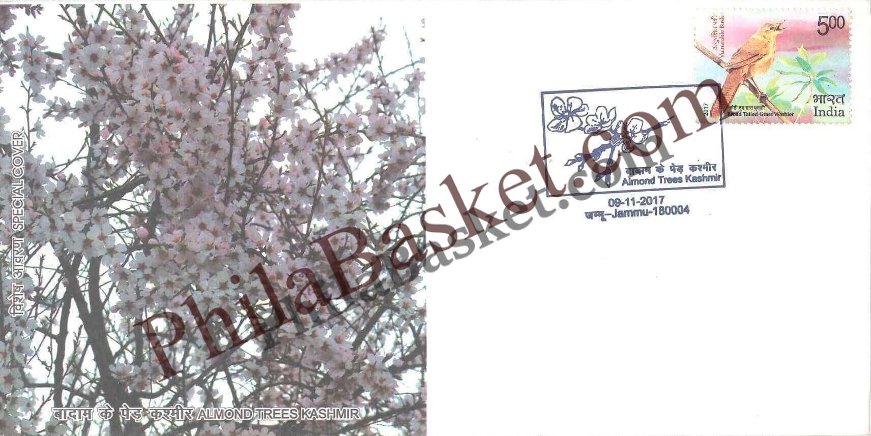 #SC555 - Almond Trees Kashmir by Jammu and Kashmir circle - Special Cover - India - 09 Nov 2017