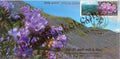 #SC600 - Neelakurinji Blooms of Gods Own Country with relevant My Stamp by Kerala circle - Special Cover - India - 12 Oct 2018