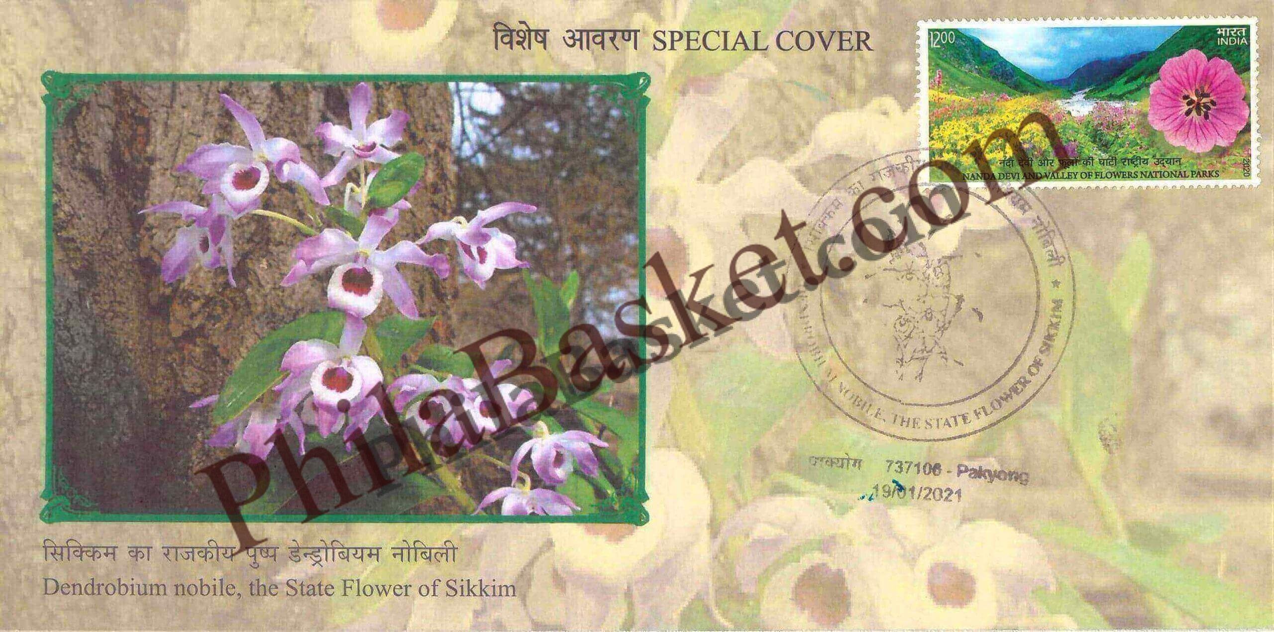 #SC729 - Dendrobium Nobile, The State flower of Sikkim by Sikkim circle - Special Cover - India - 19 Jan 2021