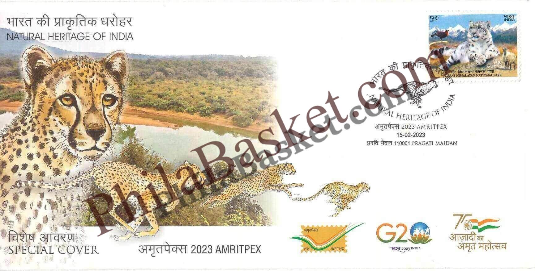 #SC825 -Cheeta - Natural Heritage of India by New Delhi circle - Special Cover - India - 15 Feb 2023