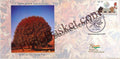 #SC888 - Chinar Tree by Jammu & Kashmir circle - Special Cover - India - 16 Nov 2022