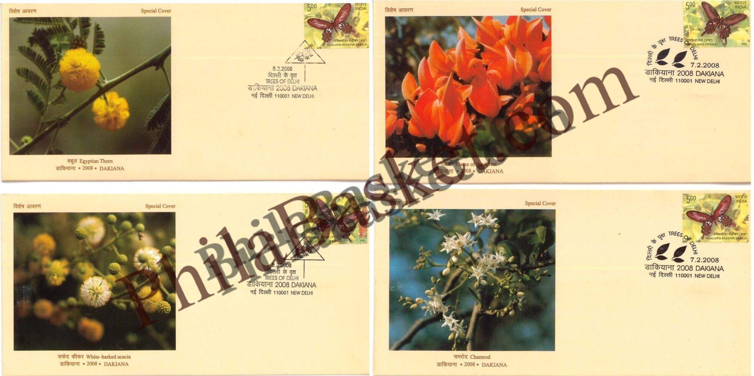 #SC919 - Trees of Delhi (Babul, Palash, Chamrod, Safed kiker) - Dakiana (Set of 4) by New Delhi circle - Special Cover - India - 07 Feb 2008
